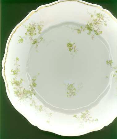 Schleiger 834-2 by Haviland