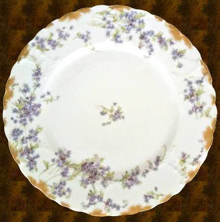 Schleiger 263-1 by Haviland