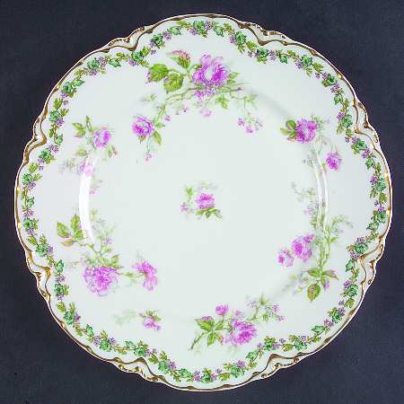 Schleiger 1145-1 by Haviland
