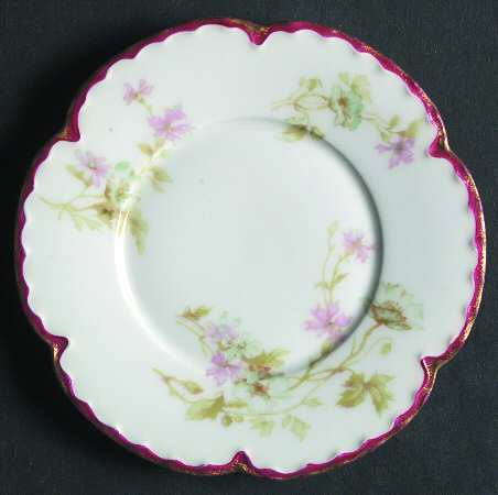 Schleiger 1168-1 by Haviland