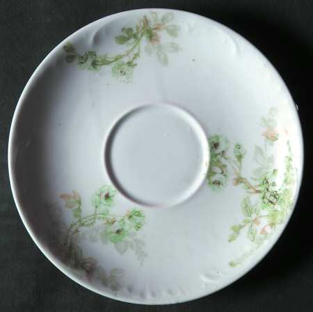 Schleiger 311-1 by Haviland