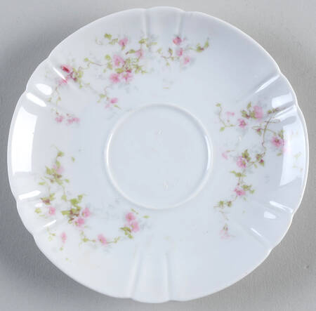 Schleiger 159-1 by Haviland