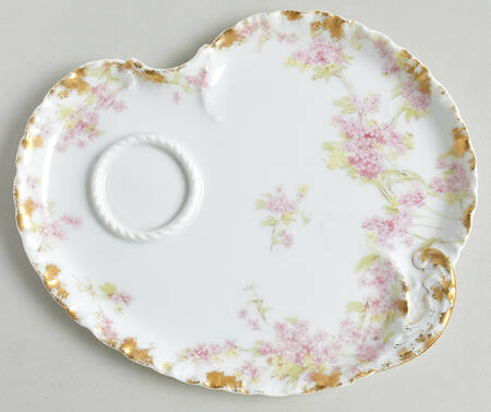 Schleiger 263-2 by Haviland