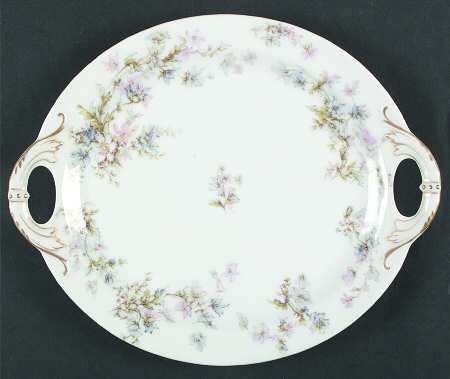Schleiger 91-1 by Haviland