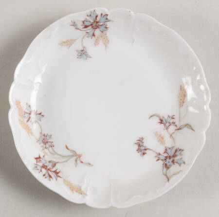 Schleiger 73-1 Saucer