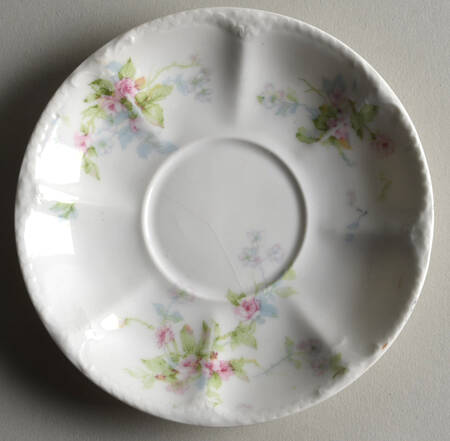 Schleiger 310-1 Saucer