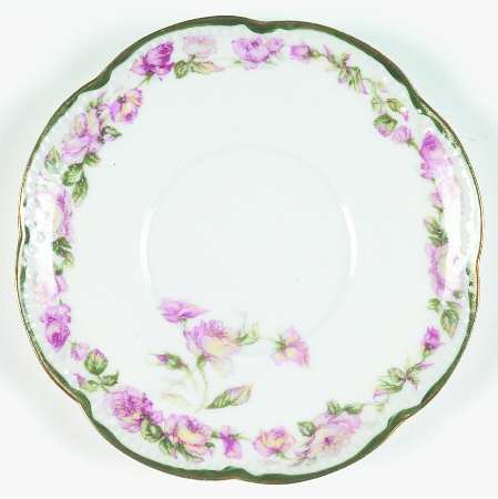 Schleiger 497-1 by Haviland