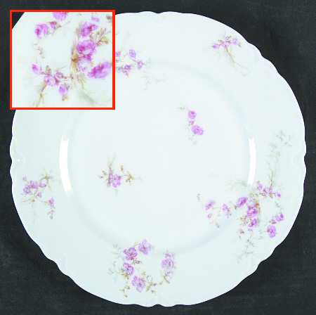 Schleiger 1166-1 by Haviland