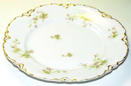 Schleiger 1160-1 by Haviland
