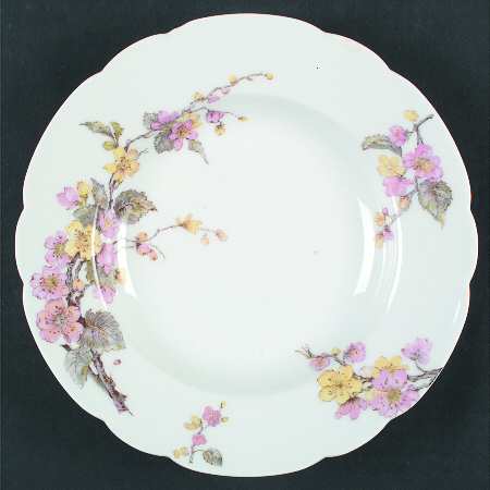 Schleiger 658-1 by Haviland