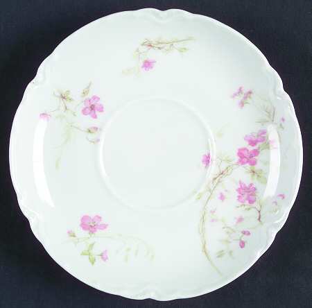 Schleiger 1167-1 by Haviland