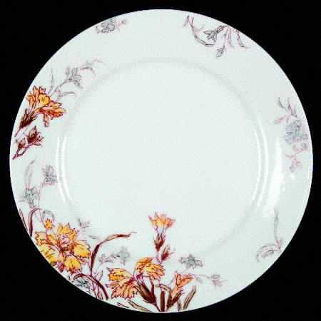 Schleiger 1158-2 by Haviland