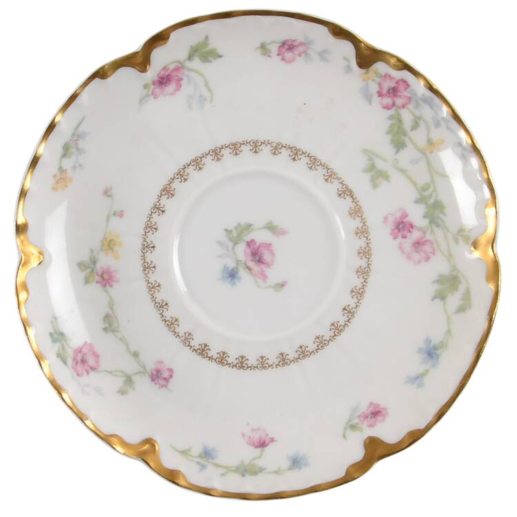 Schleiger 239-1 by Haviland