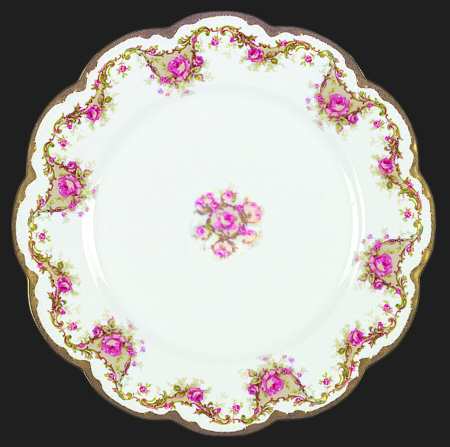 Schleiger 484-1 by Haviland