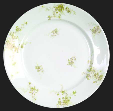 Schleiger 834-3 by Haviland