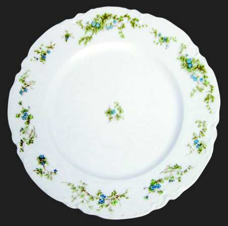 Schleiger 1165-1 by Haviland