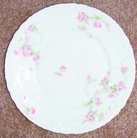 Schleiger 141-1 by Haviland