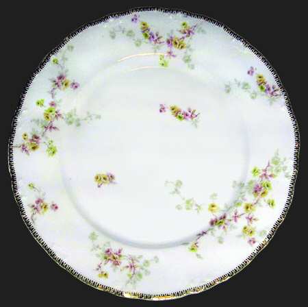 Schleiger 339-2 by Haviland
