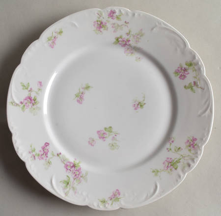 Schleiger 1231-1 by Haviland