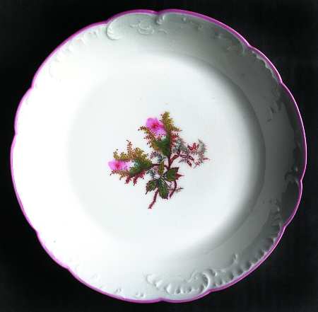 Moss Rose (Pink Trim, Scalloped) by Haviland