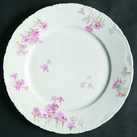 Schleiger 138-1 by Haviland