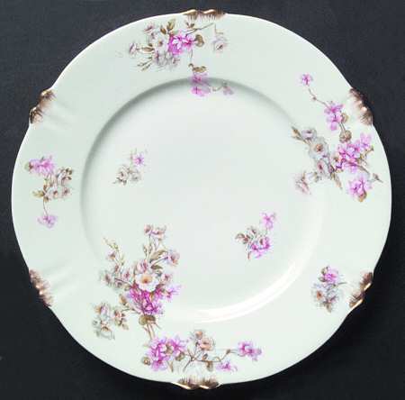 Schleiger 317-3 by Haviland