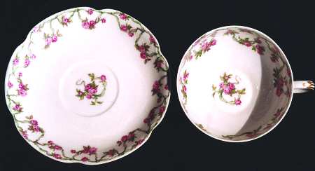 Schleiger 750-1 by Haviland