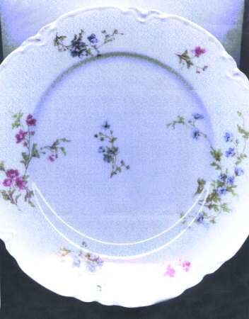 Schleiger 670-3 by Haviland