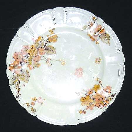 Schleiger 658-5 by Haviland