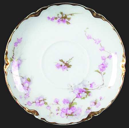 Schleiger 248-6 by Haviland