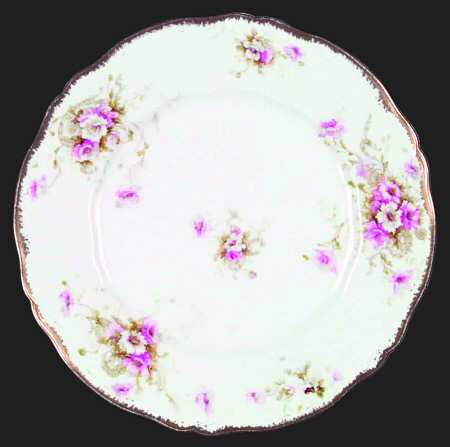 Schleiger 313-5 by Haviland