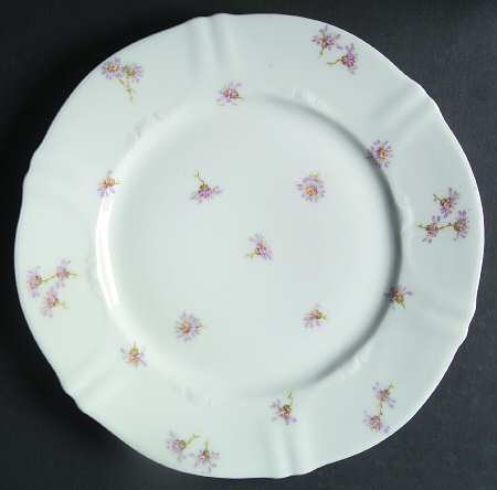 Schleiger 316-3 by Haviland