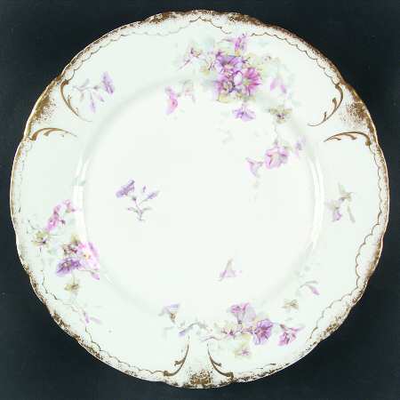 Schleiger 333-7 by Haviland