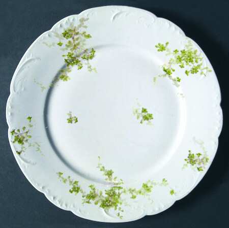 Schleiger 834-6 by Haviland