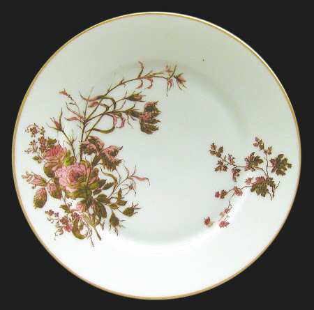 Schleiger 77-6 by Haviland