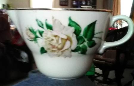 Georgeanne Creamer