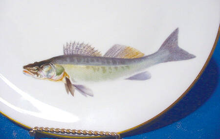 HC865 Dinner Plate