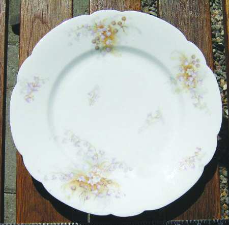 Schleiger 315-4 by Haviland