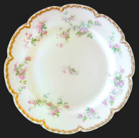 Schleiger 681-1 by Haviland