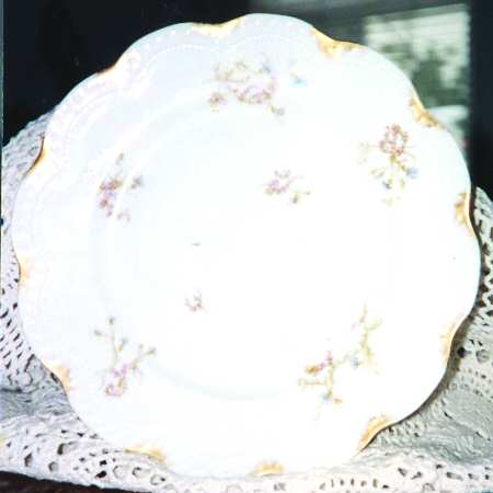 Schleiger 463-1 by Haviland
