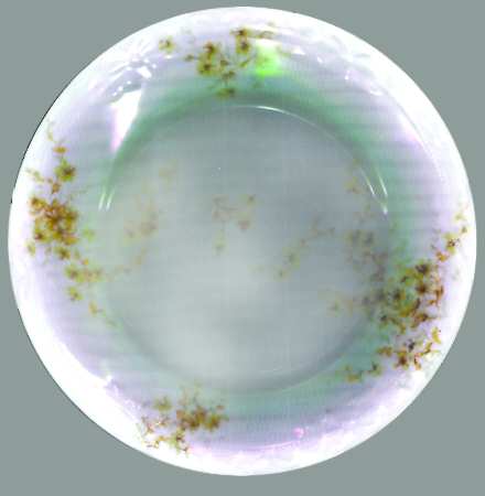 Schleiger 314-6 by Haviland