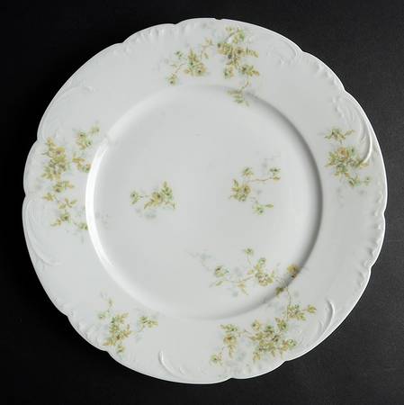 Schleiger 150-12 by Haviland