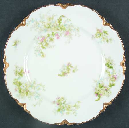 Schleiger 1171-1 by Haviland