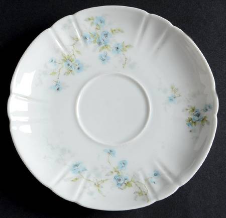 Schleiger 150-13 by Haviland