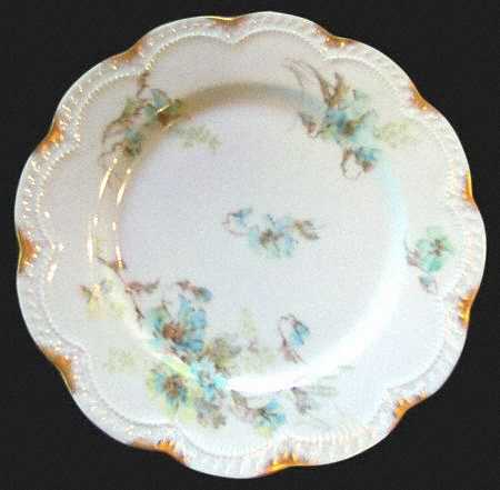 Schleiger 54-10 by Haviland