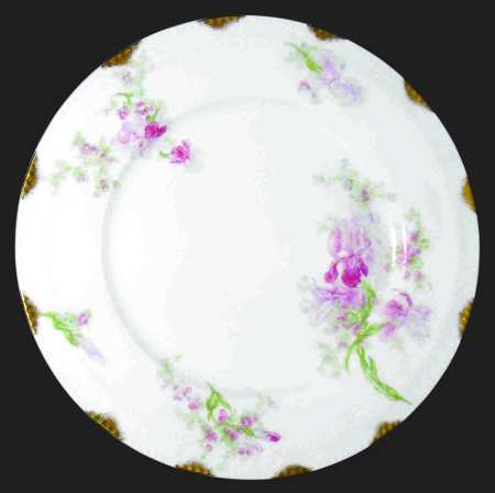 Schleiger 662-1 by Haviland