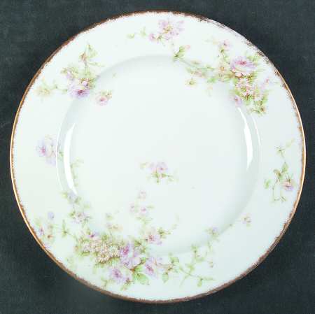 Schleiger 840-6 by Haviland