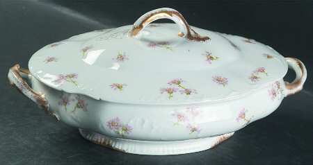 Schleiger 316-5 by Haviland