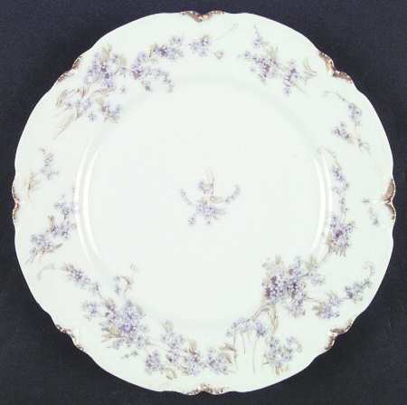 Schleiger 263-3 by Haviland