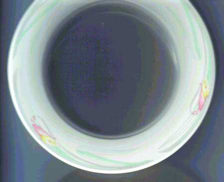 HLC2459 Bread & Butter Plate